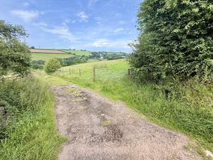  Trewidland